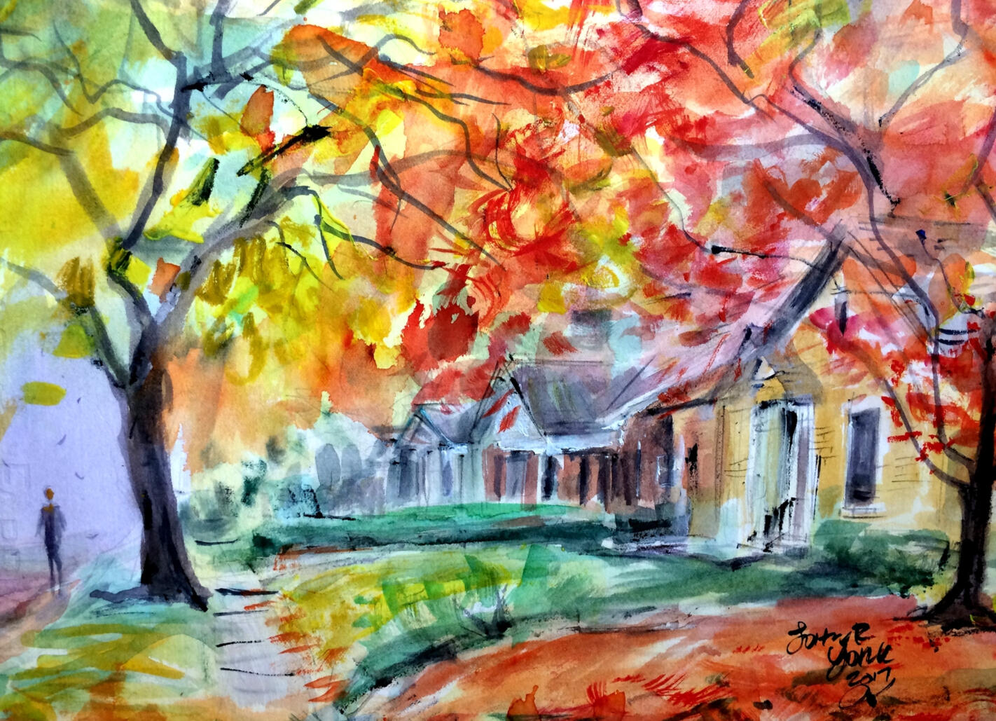 Johnny&#39;s Japanese Maple by John York